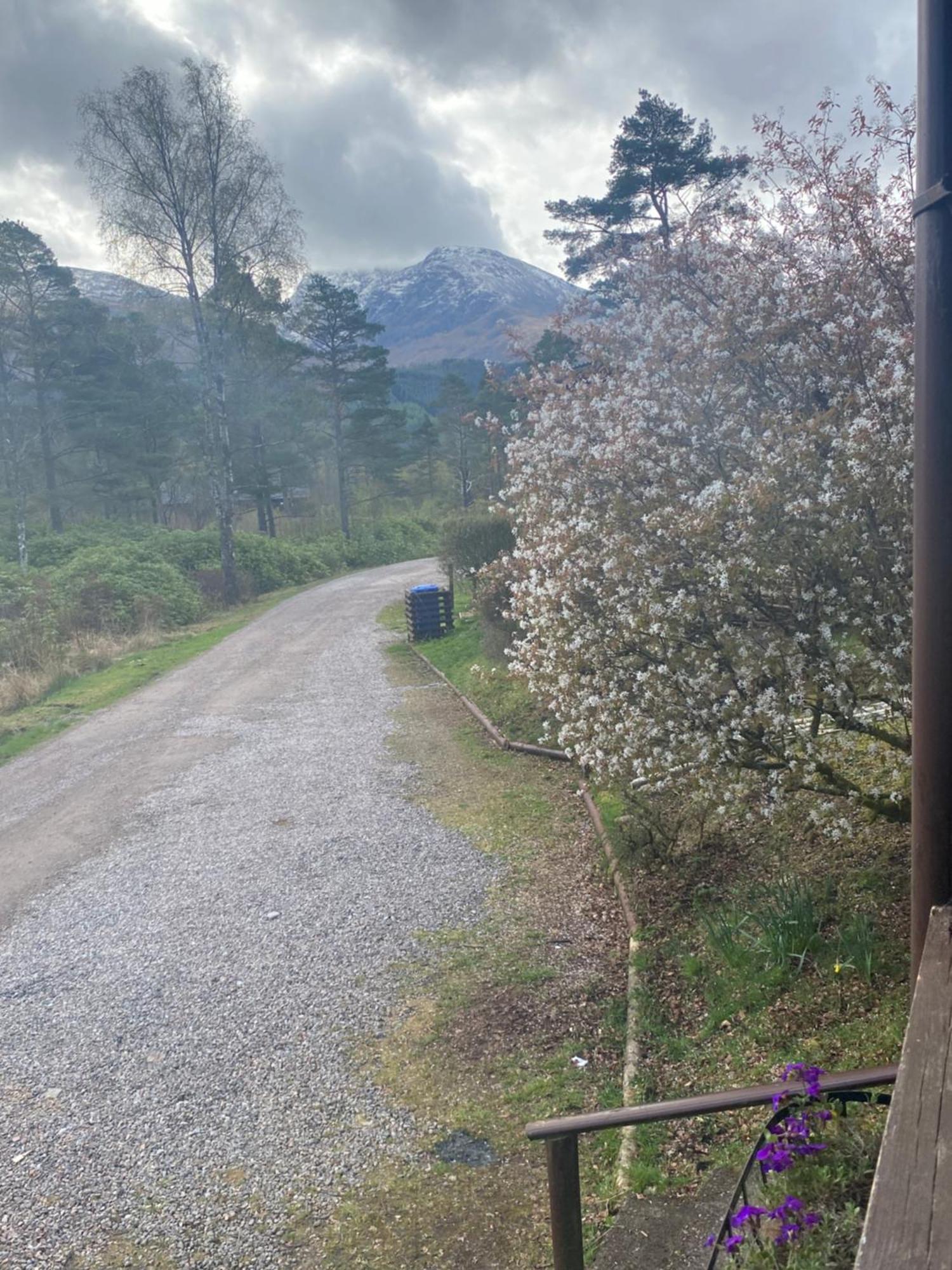 Kingswood Lodges Fort William Dış mekan fotoğraf